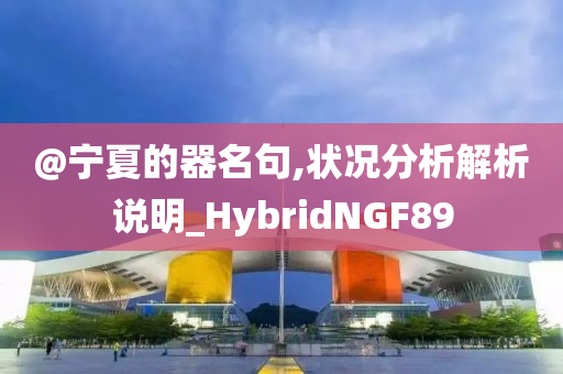 @宁夏的器名句,状况分析解析说明_HybridNGF89