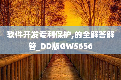 软件开发专利保护,的全解答解答_DD版GW5656