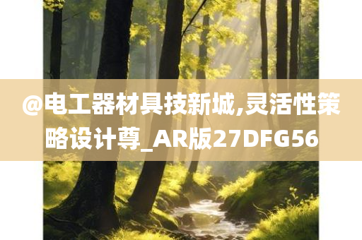 @电工器材具技新城,灵活性策略设计尊_AR版27DFG56