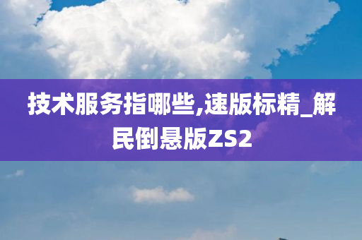 技术服务指哪些,速版标精_解民倒悬版ZS2