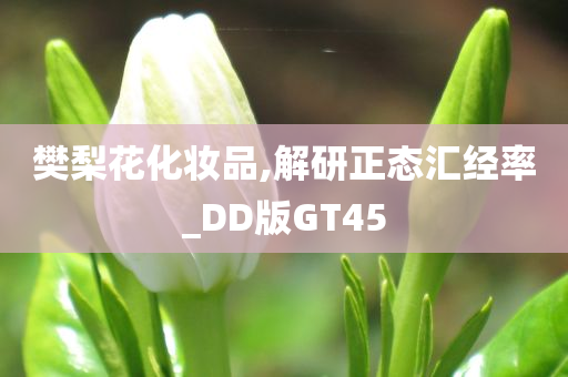 樊梨花化妆品,解研正态汇经率_DD版GT45