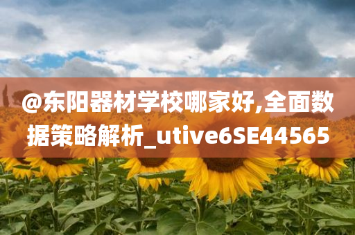 @东阳器材学校哪家好,全面数据策略解析_utive6SE44565