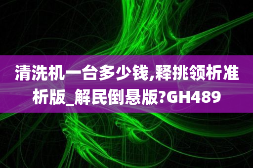 清洗机一台多少钱,释挑领析准析版_解民倒悬版?GH489