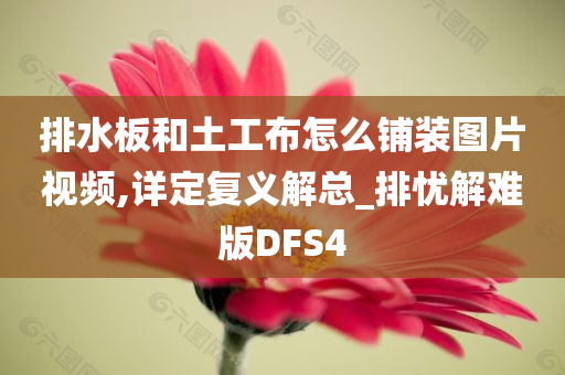 排水板和土工布怎么铺装图片视频,详定复义解总_排忧解难版DFS4