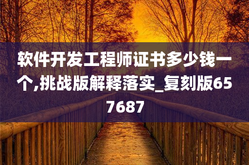 软件开发工程师证书多少钱一个,挑战版解释落实_复刻版657687