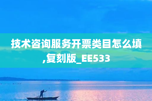 技术咨询服务开票类目怎么填,复刻版_EE533