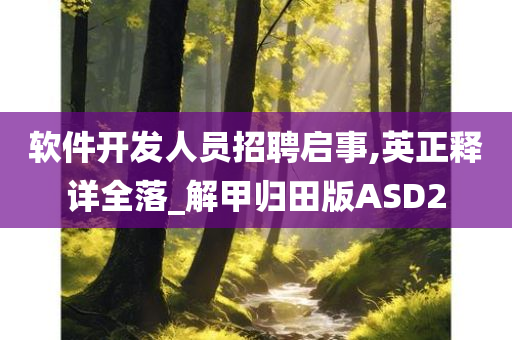 软件开发人员招聘启事,英正释详全落_解甲归田版ASD2