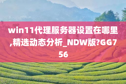 win11代理服务器设置在哪里,精选动态分析_NDW版?GG756