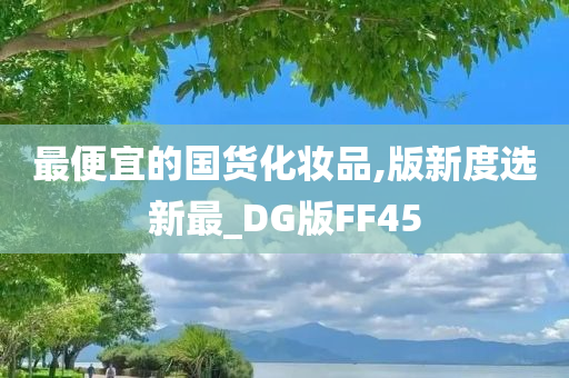 最便宜的国货化妆品,版新度选新最_DG版FF45