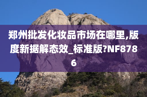 郑州批发化妆品市场在哪里,版度新据解态效_标准版?NF8786