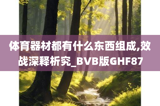 体育器材都有什么东西组成,效战深释析究_BVB版GHF87