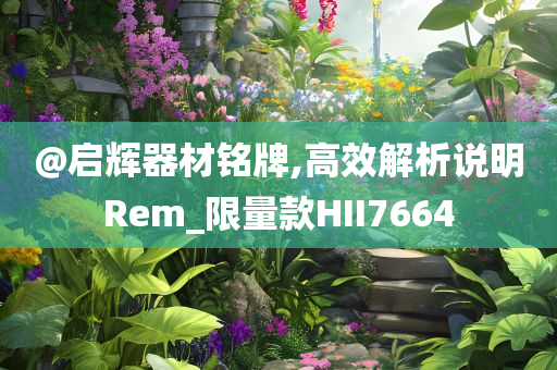 @启辉器材铭牌,高效解析说明Rem_限量款HII7664