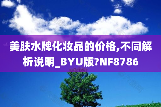 美肤水牌化妆品的价格,不同解析说明_BYU版?NF8786