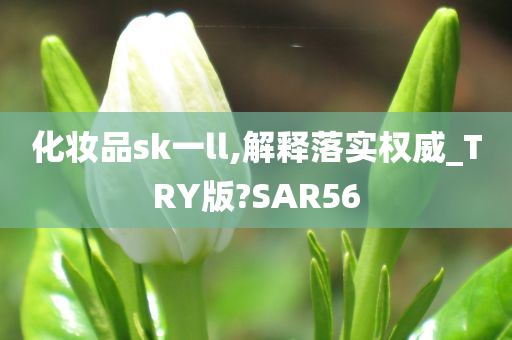 化妆品sk一ll,解释落实权威_TRY版?SAR56