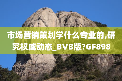 市场营销策划学什么专业的,研究权威动态_BVB版?GF898