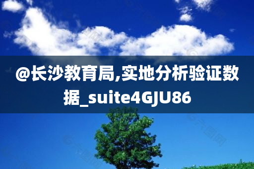 @长沙教育局,实地分析验证数据_suite4GJU86