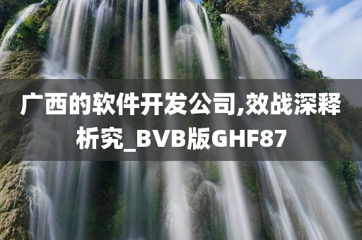 广西的软件开发公司,效战深释析究_BVB版GHF87