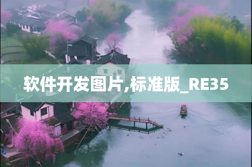 软件开发图片,标准版_RE35