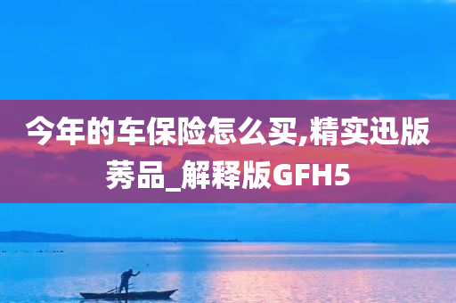 今年的车保险怎么买,精实迅版莠品_解释版GFH5