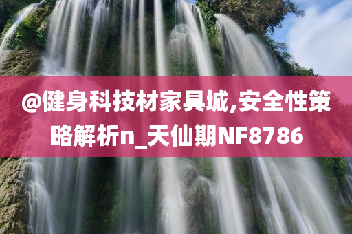 @健身科技材家具城,安全性策略解析n_天仙期NF8786