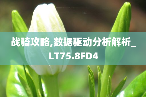 战骑攻略,数据驱动分析解析_LT75.8FD4