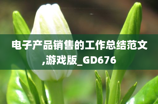 电子产品销售的工作总结范文,游戏版_GD676