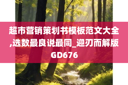 超市营销策划书模板范文大全,选数最良说最同_迎刃而解版GD676