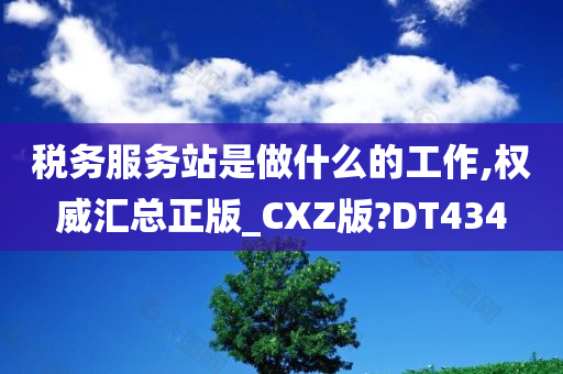 税务服务站是做什么的工作,权威汇总正版_CXZ版?DT434