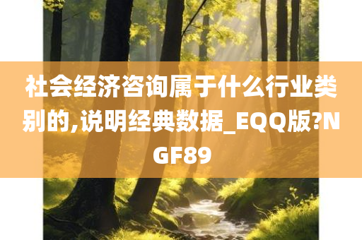 社会经济咨询属于什么行业类别的,说明经典数据_EQQ版?NGF89