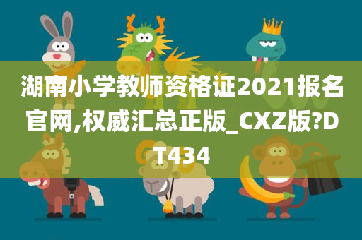 湖南小学教师资格证2021报名官网,权威汇总正版_CXZ版?DT434