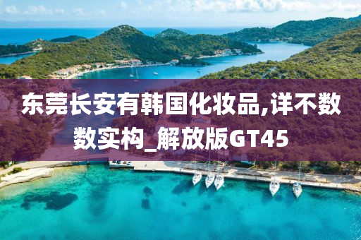 东莞长安有韩国化妆品,详不数数实构_解放版GT45