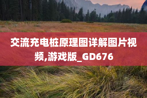 交流充电桩原理图详解图片视频,游戏版_GD676