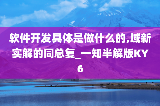 软件开发具体是做什么的,域新实解的同总复_一知半解版KY6