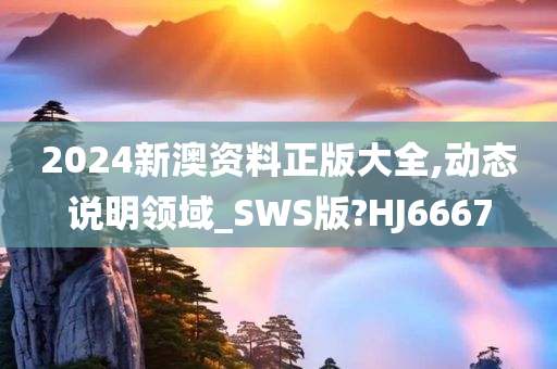 2024新澳资料正版大全,动态说明领域_SWS版?HJ6667