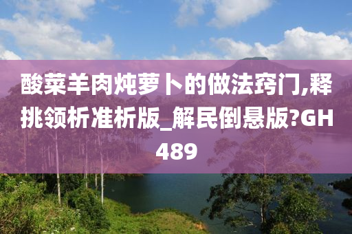 酸菜羊肉炖萝卜的做法窍门,释挑领析准析版_解民倒悬版?GH489