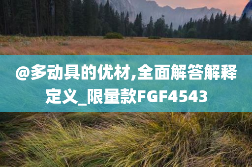 @多动具的优材,全面解答解释定义_限量款FGF4543