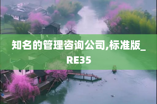 知名的管理咨询公司,标准版_RE35