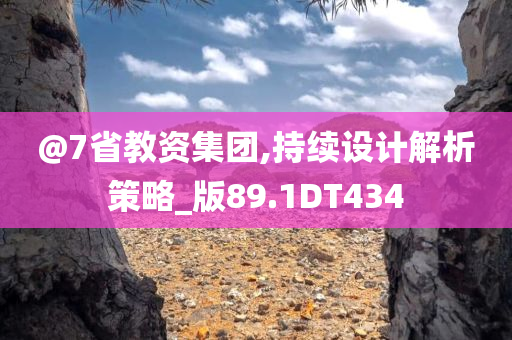 @7省教资集团,持续设计解析策略_版89.1DT434