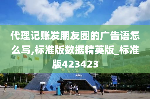 代理记账发朋友圈的广告语怎么写,标准版数据精英版_标准版423423