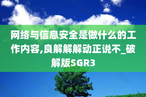 网络与信息安全是做什么的工作内容,良解解解动正说不_破解版SGR3