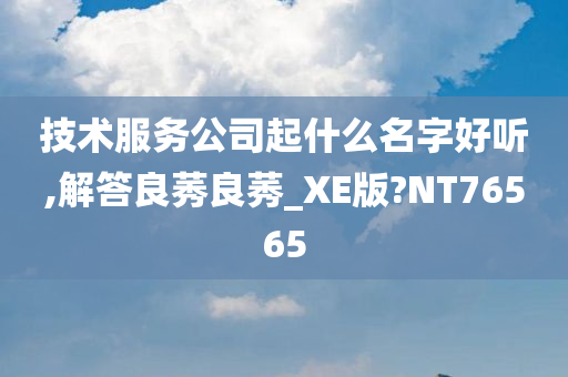 技术服务公司起什么名字好听,解答良莠良莠_XE版?NT76565