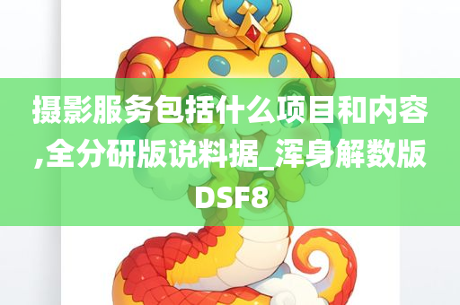 摄影服务包括什么项目和内容,全分研版说料据_浑身解数版DSF8