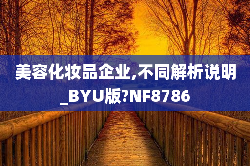 美容化妆品企业,不同解析说明_BYU版?NF8786