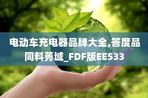 电动车充电器品牌大全,答度品同料莠域_FDF版EE533