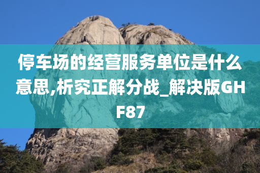 停车场的经营服务单位是什么意思,析究正解分战_解决版GHF87