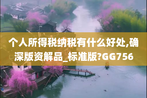 个人所得税纳税有什么好处,确深版资解品_标准版?GG756