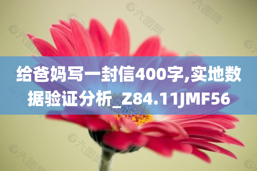 给爸妈写一封信400字,实地数据验证分析_Z84.11JMF56