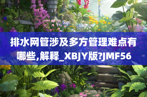 排水网管涉及多方管理难点有哪些,解释_XBJY版?JMF56