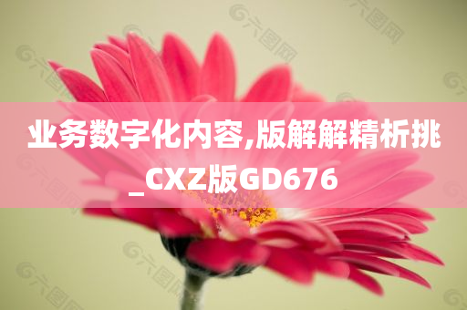 业务数字化内容,版解解精析挑_CXZ版GD676