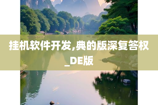 挂机软件开发,典的版深复答权_DE版